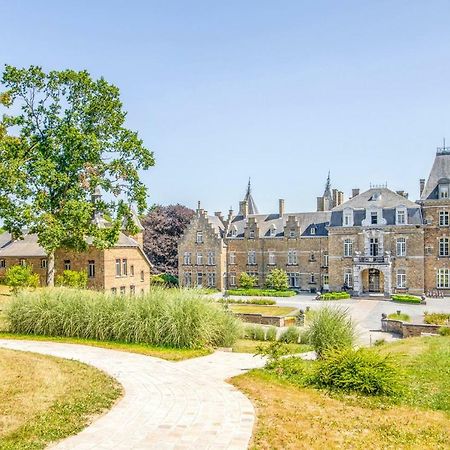 Domaine De Ronchinne - Chateau Et Ecuries Maillen Exterior photo